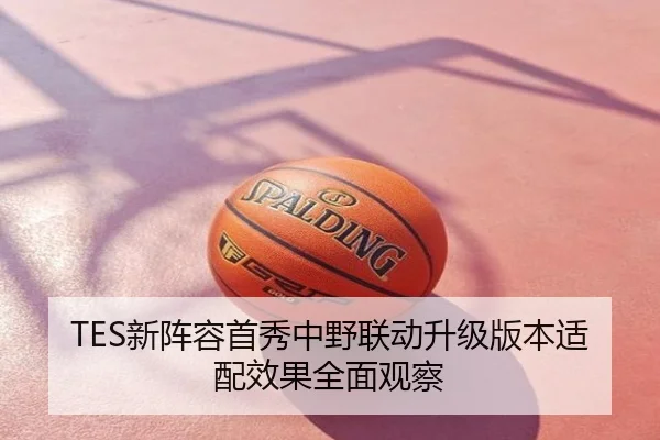 TES新阵容首秀中野联动升级版本适配效果全面观察